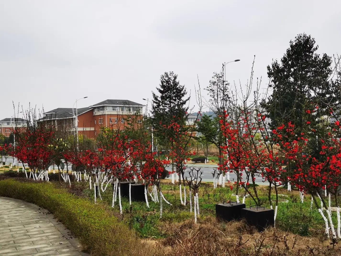 英语写作万能句型第八期,英语写作万能句大全