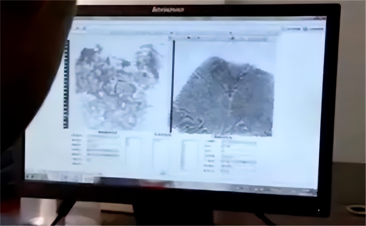 江边突现无名女尸下集,黄浦江边惊现无名女尸结局