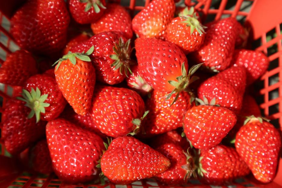 通关文牒嘉峪关是什么意思,嘉峪关哪个省