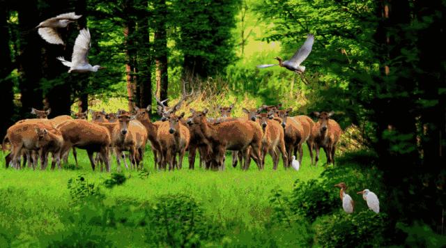 是时候为4500000000岁的TA做点什么了!