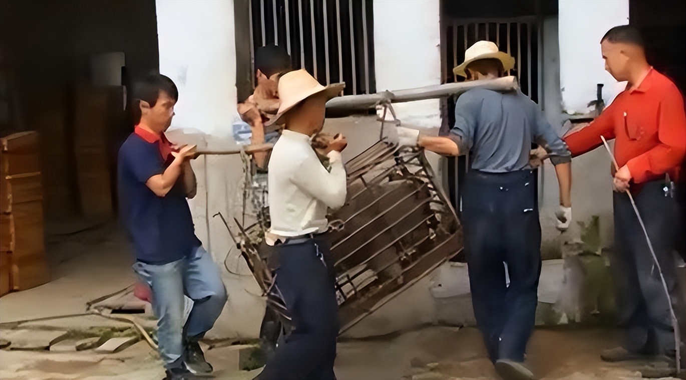 母猪生豹纹猪仔,母猪生下豹纹怪猪