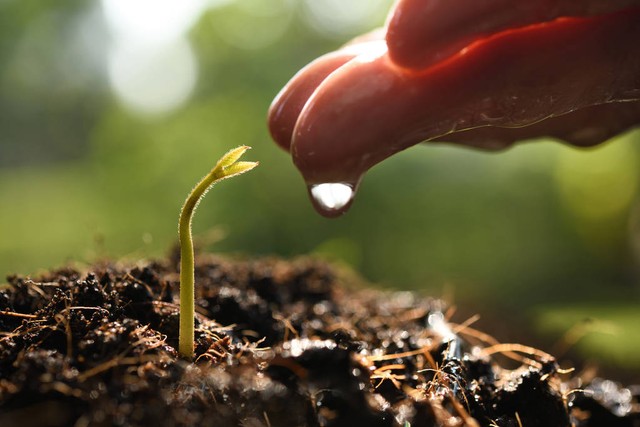 抑郁症病人自画像,抑郁症心理画像