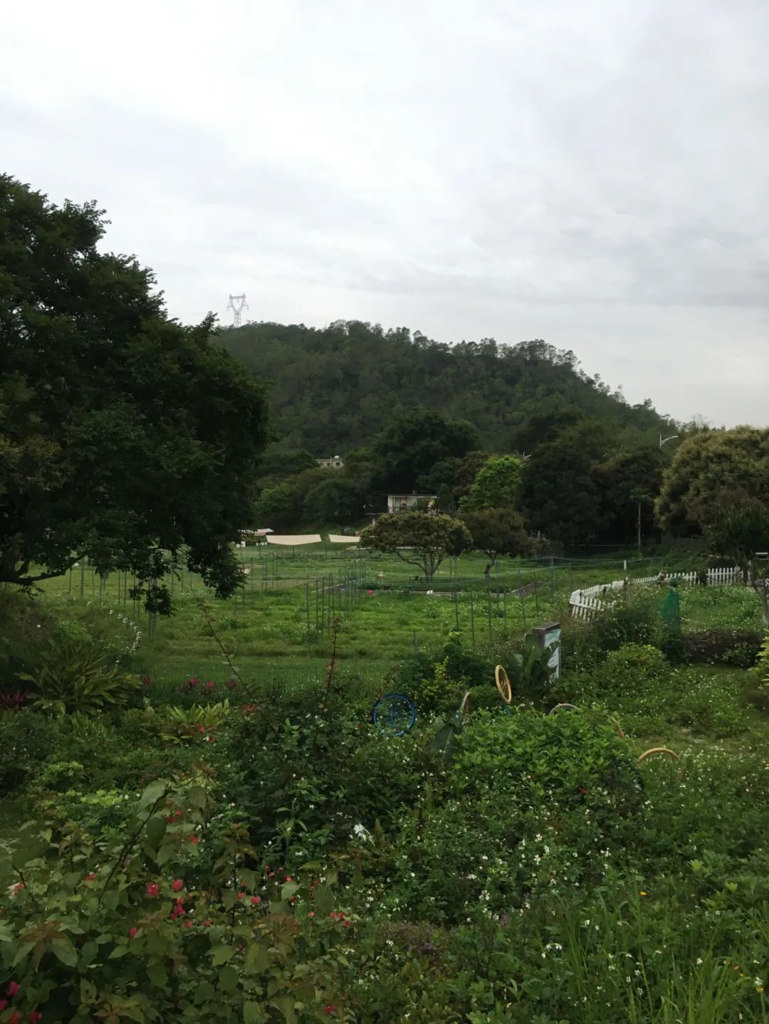 旭光车行雅迪电动车,旭光单车