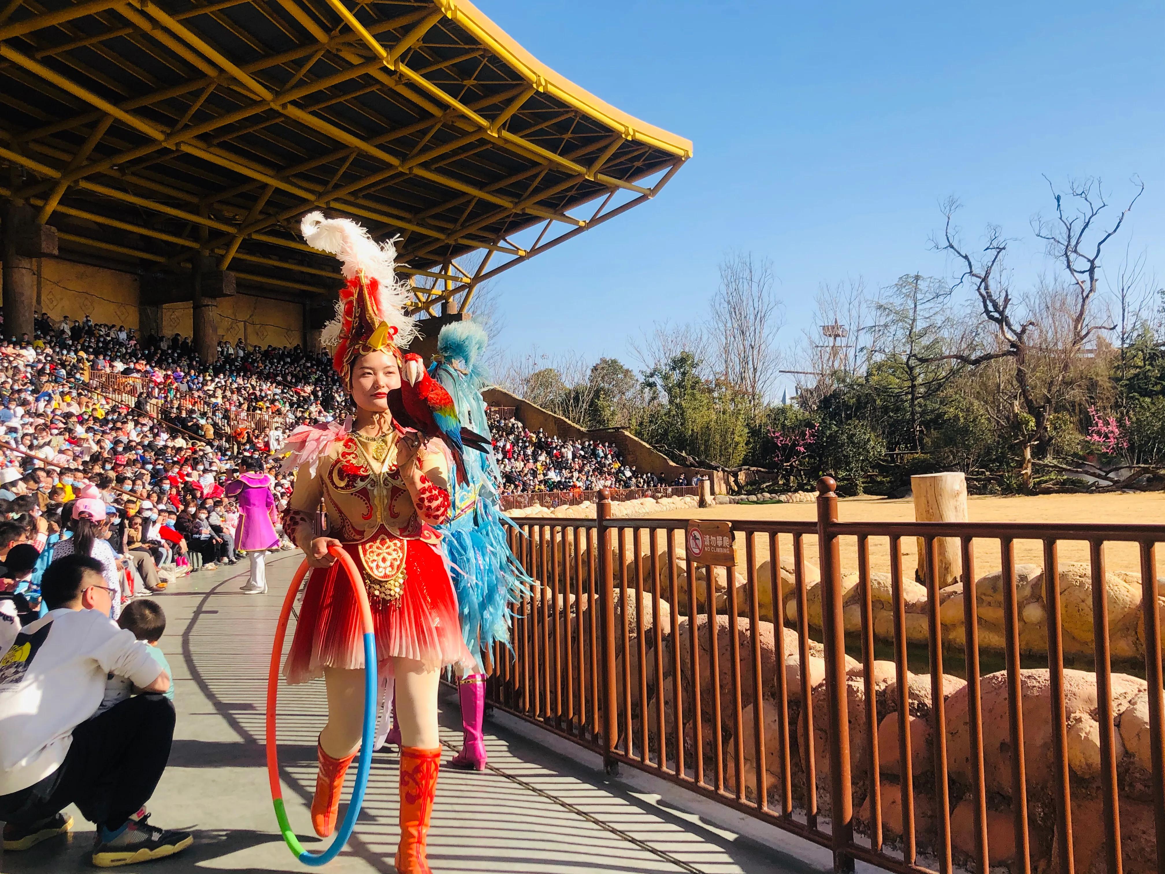 银基动物王国最强游玩攻略,银基动物王国游玩最详细攻略