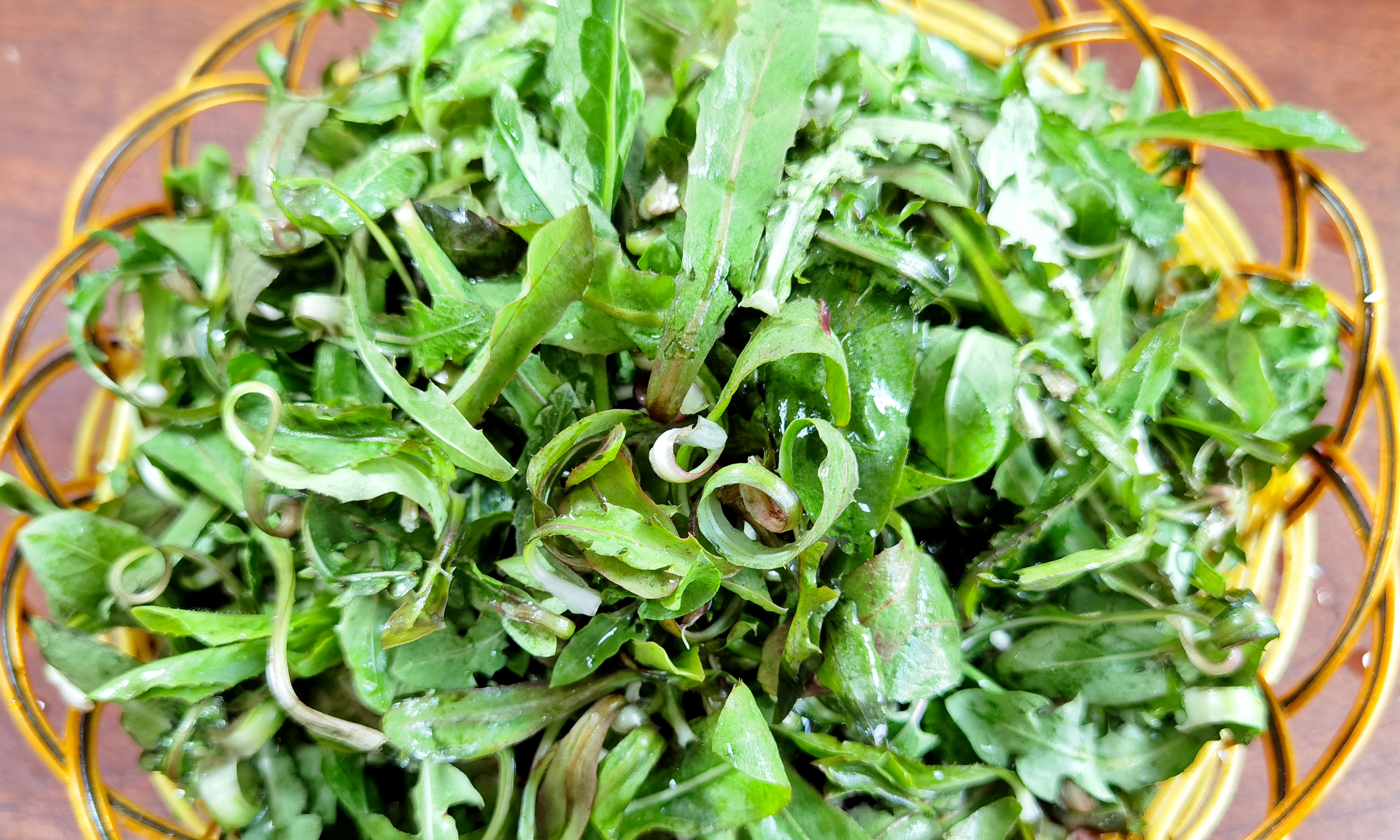 农村野生蒲公英晒干泡茶要炒吗,野生的蒲公英拿来做什么