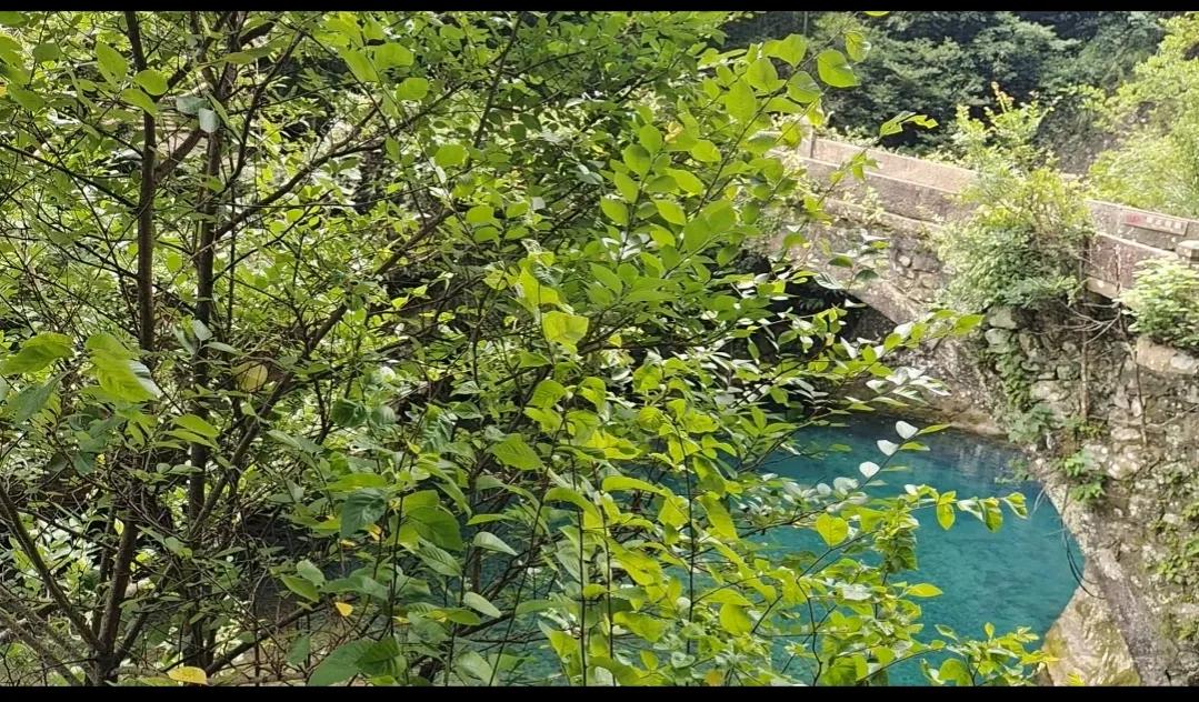 温州雁荡山一日游必去景点灵岩,温州雁荡山一日游