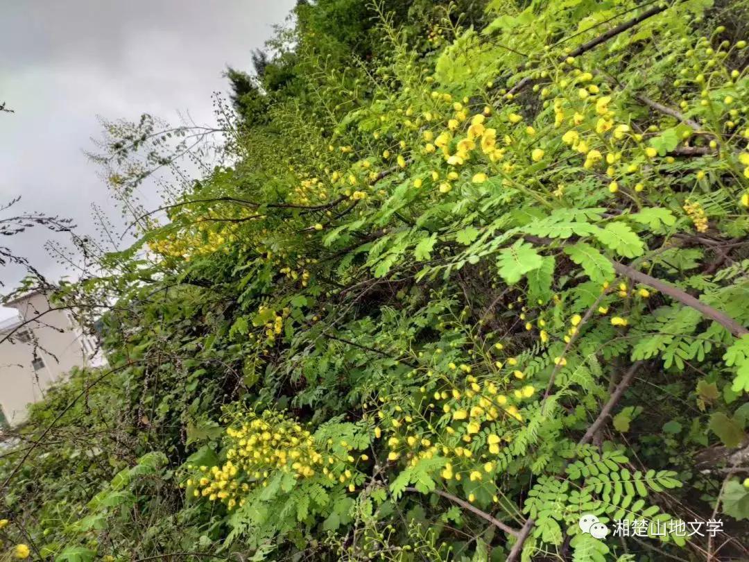 母亲是文盲沟通很困难,妈妈是文盲想认字