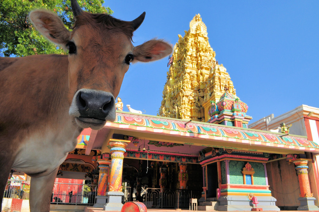 斯里兰卡简介地图,斯里兰卡简介