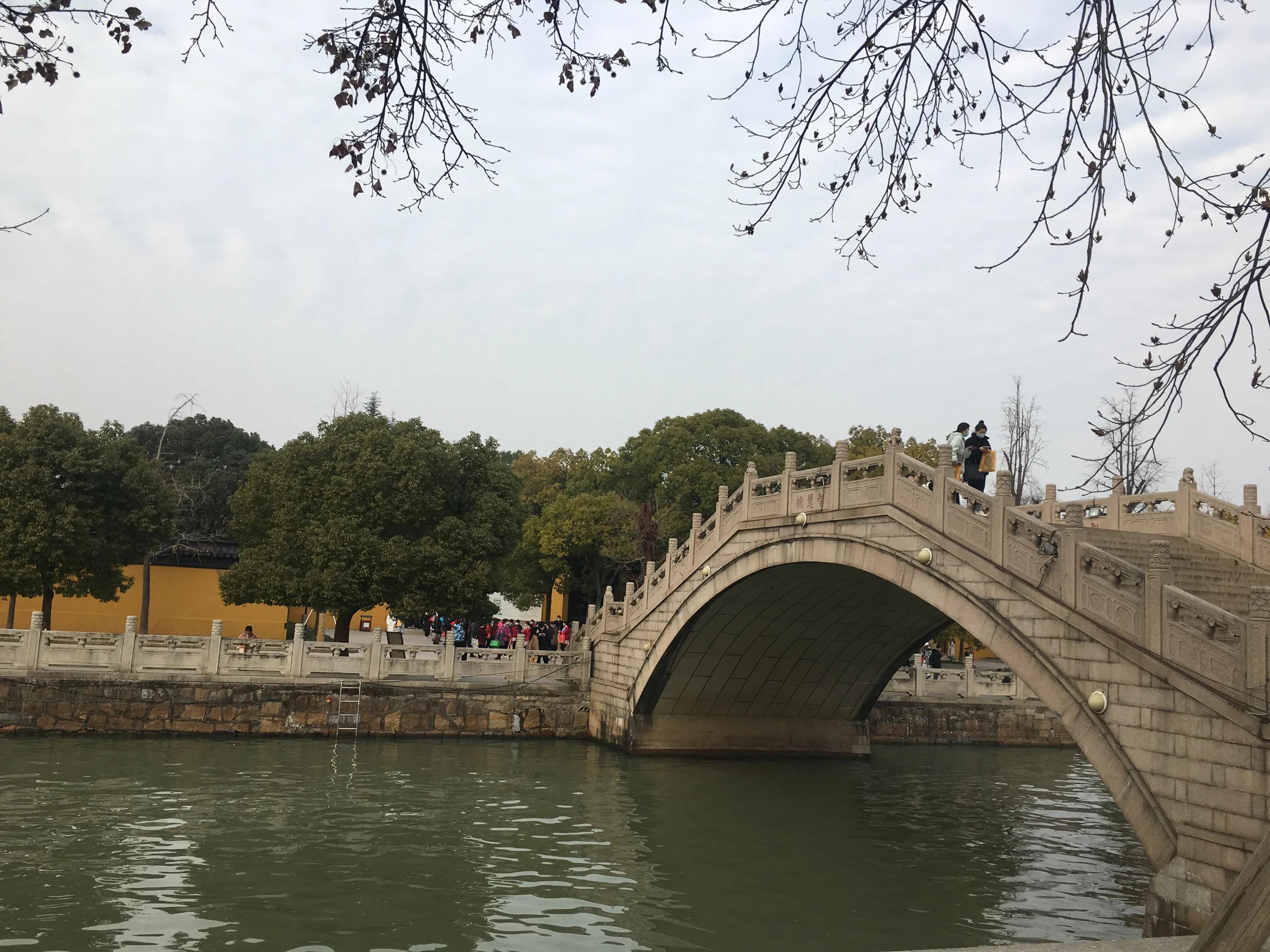 苏州西园寺猫咪图片高清,别样苏州