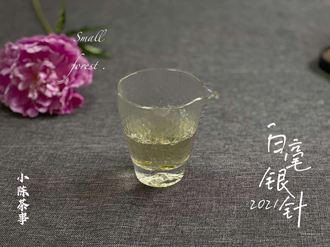 好几千买的白毫银针,怎么冲泡才不浪费?老茶客:5个细节很重要