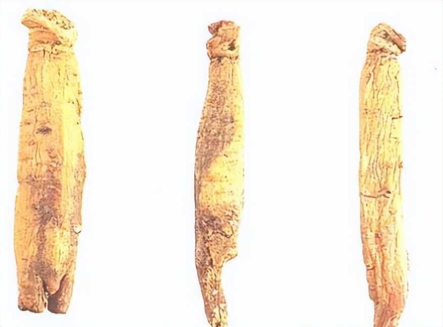 认识红参,带你认识红木