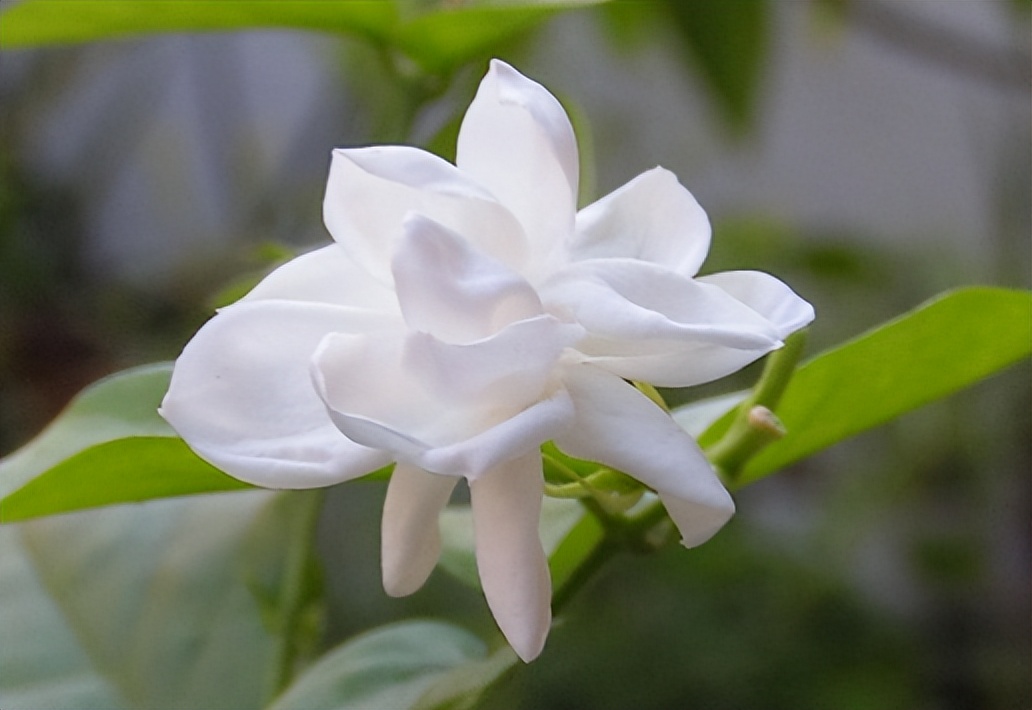 一个女人“借”了这些东西,彼此“缘分”也就尽了,早就实锤了