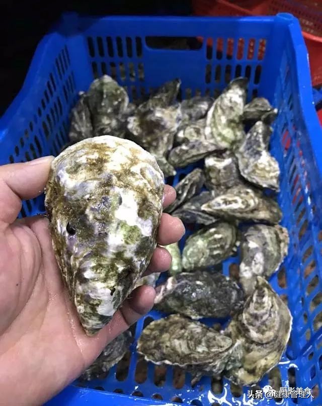 海鲜贝类品种大全及名字,22种海鲜贝类做法大全