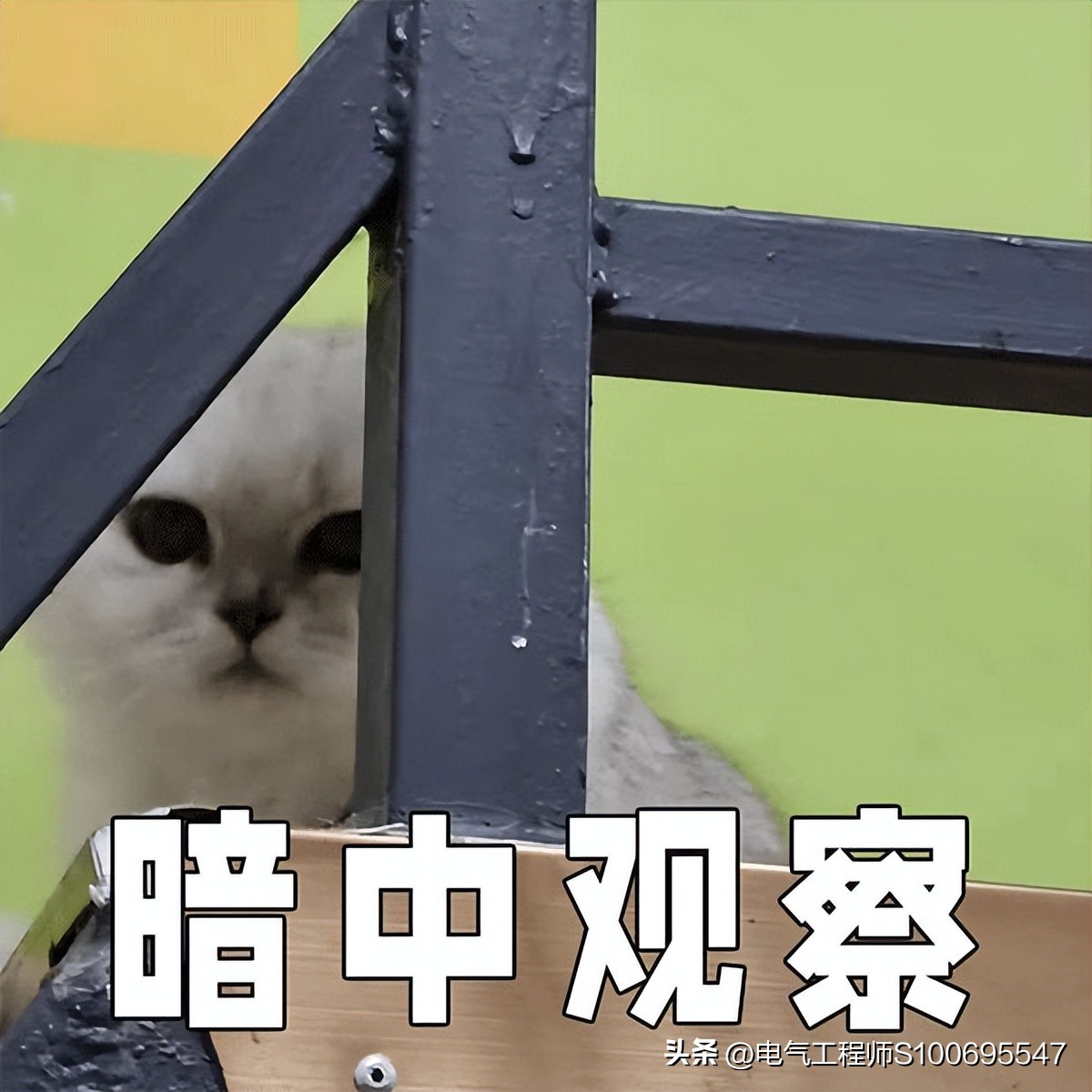 身份证被绑定微信支付会发生什么,被别人绑定微信支付怎么解除