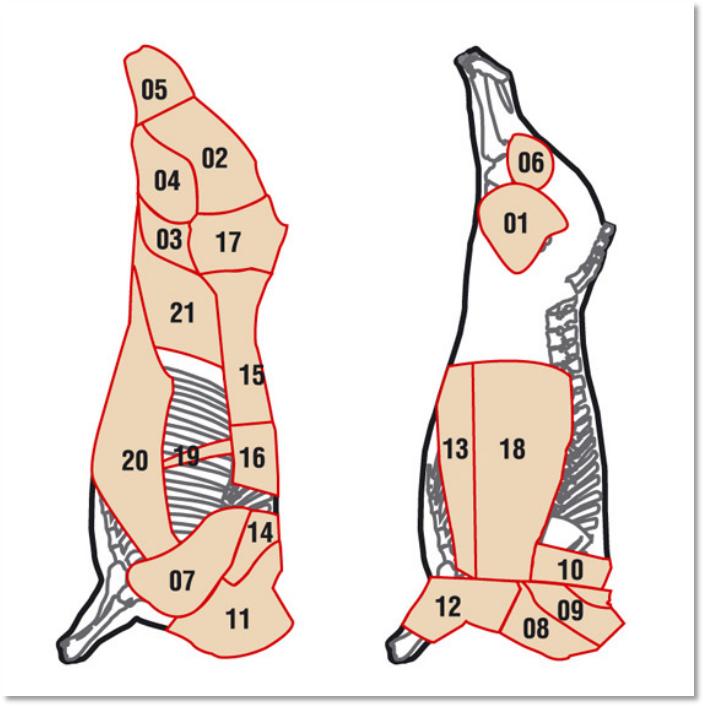 足球世界杯看球吃什么,足球世界杯菜品全面升级