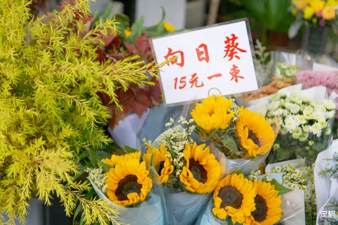 深圳最好玩的十个地方,深圳光明小镇欢乐田园好玩吗