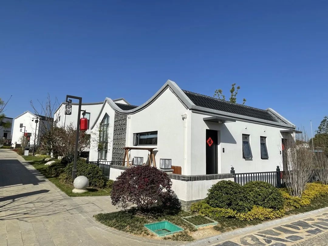 拼经济抓项目强招商,全力以赴拼经济促发展