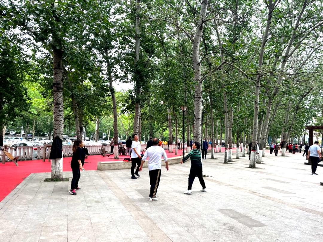 立夏时光美景,立夏时光打卡