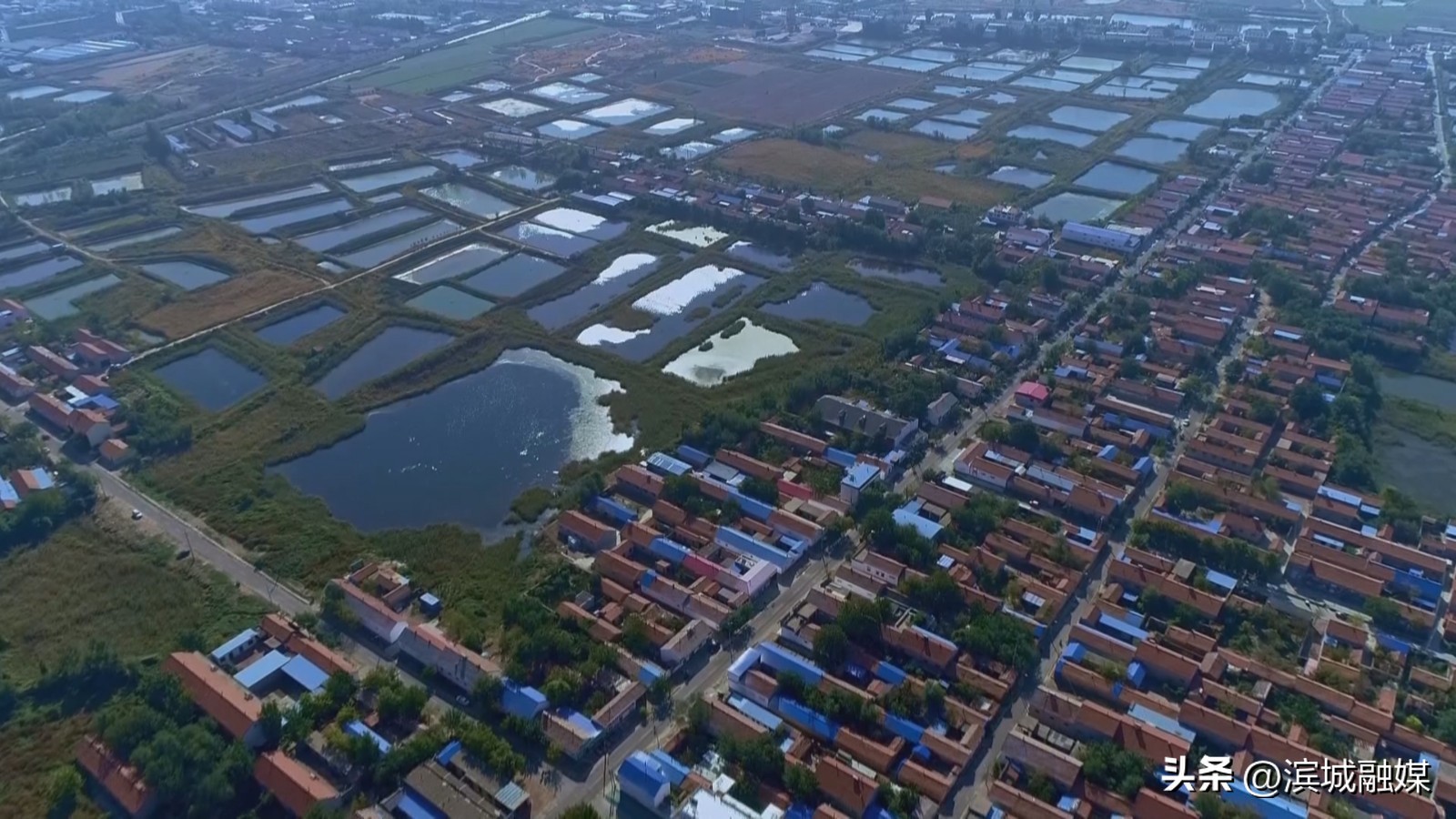 党建引领下推进乡村振兴发展,乡村振兴党建引领新做法人民日报