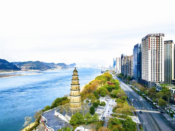 青春赋能伍家迎“蝶变新生”