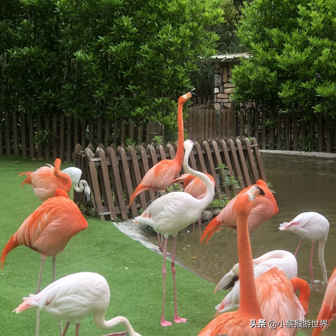 上海旅游景区有哪些地方最好玩,上海十大旅游景点推荐最新