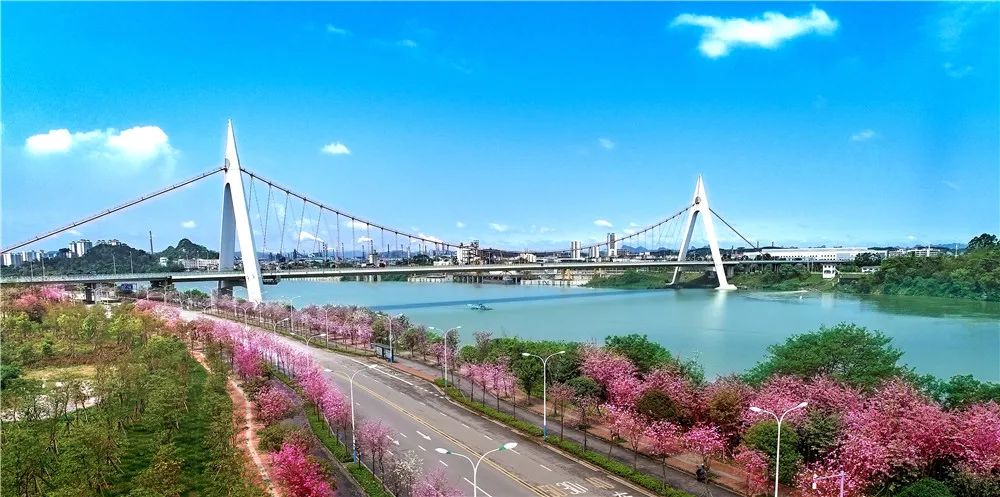 春天，我想到一座城，吃粉粉，看粉粉