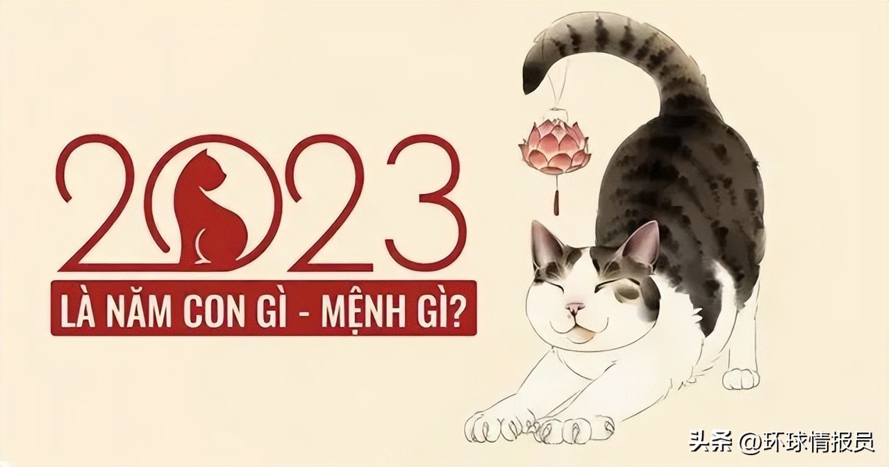 猫为什么没有入选十二生肖,越南为什么把兔年叫猫年