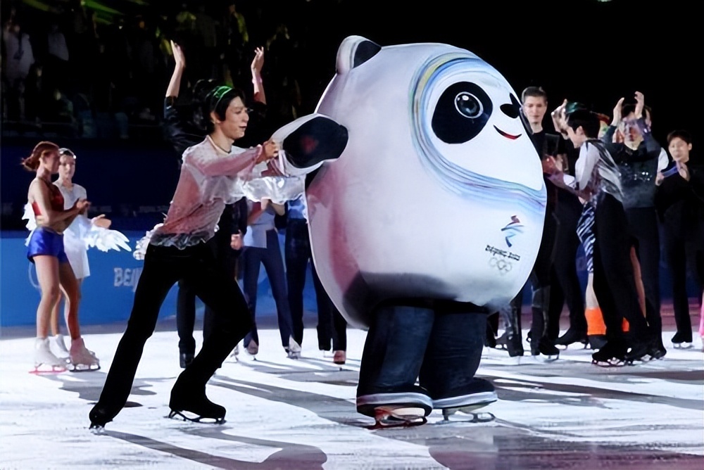 蓉宝接棒冰墩墩,蓉宝与冰墩墩