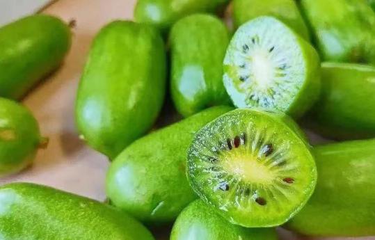 相见恨晚这首歌完整版,原汁原味古色古香的一座小城