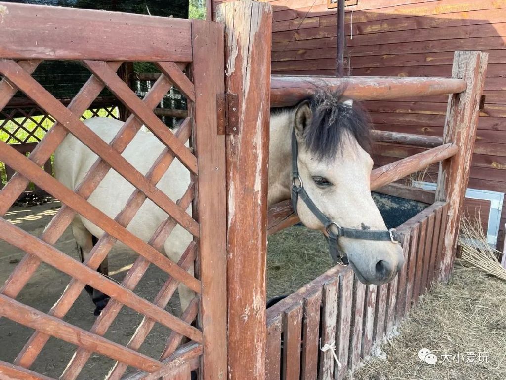 北京带孩子周边休闲度假的好去处,北京适合带孩子玩的度假村