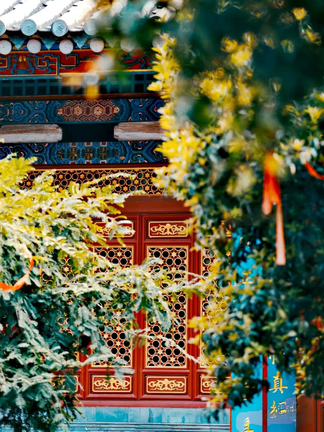 最美的地方云南昆明,云南最美的十个地方你想去哪里