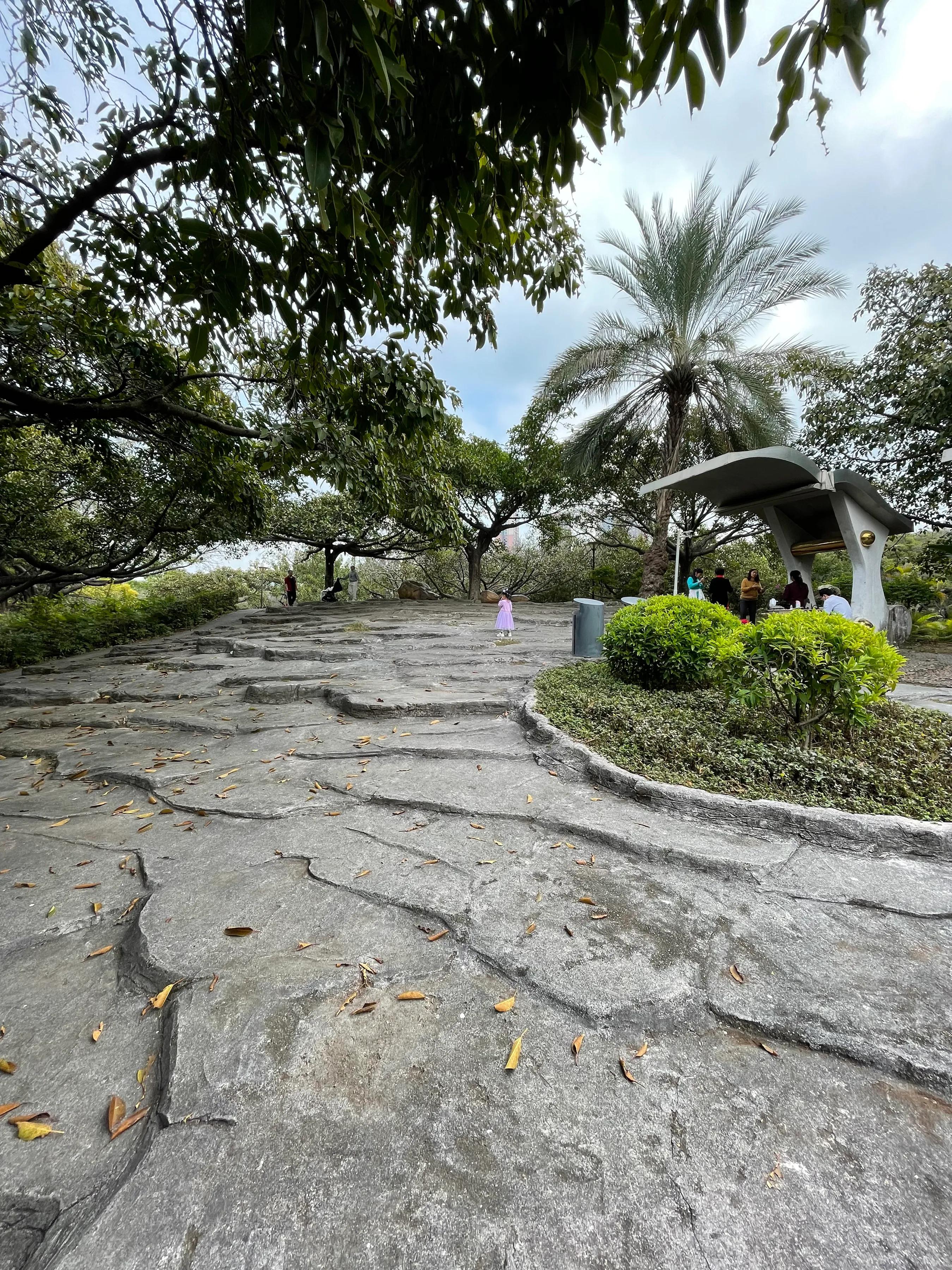 深圳市宝安灵芝公园正在建什么,宝安灵芝公园