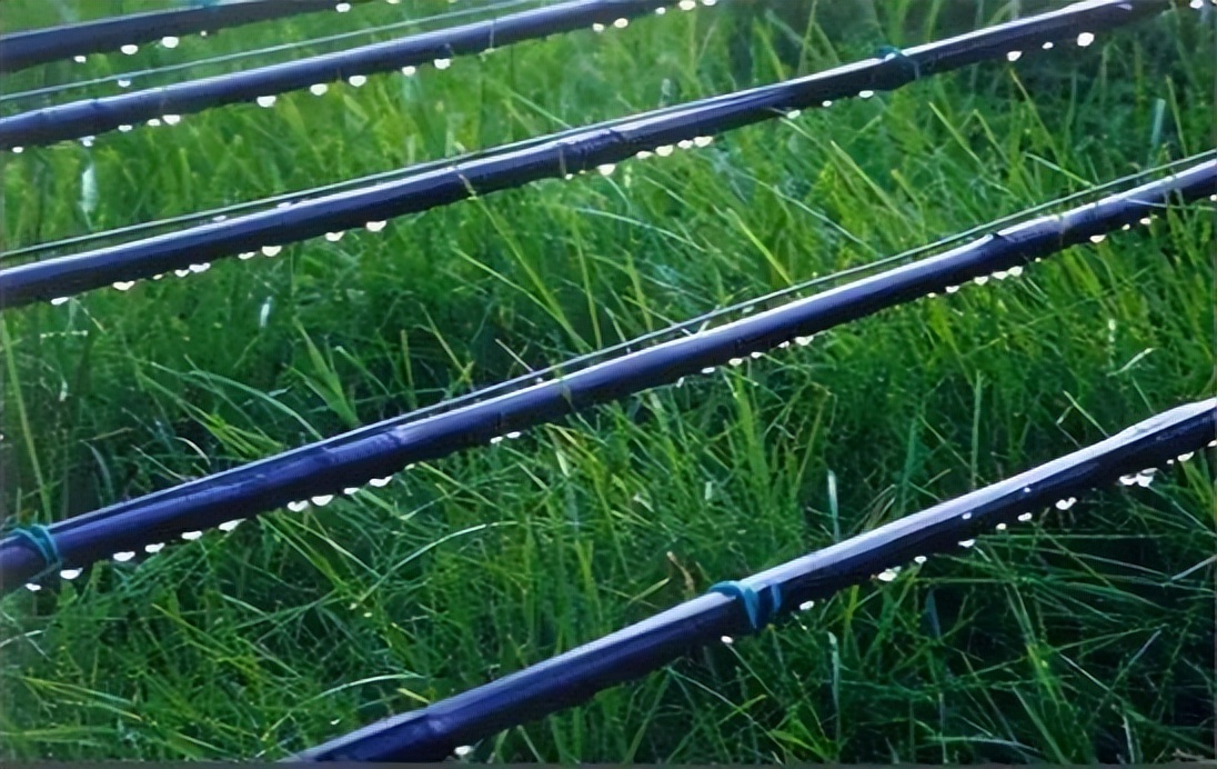 生鲜农产品发展现状及存在的问题,最新生鲜农产品供应链运作模式