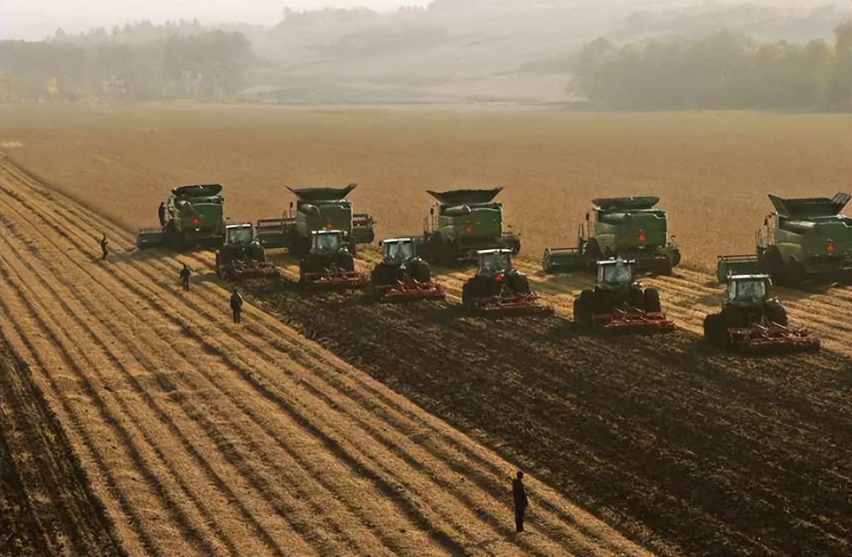 北大荒为什么退林还耕,北大荒当年咋样开垦的