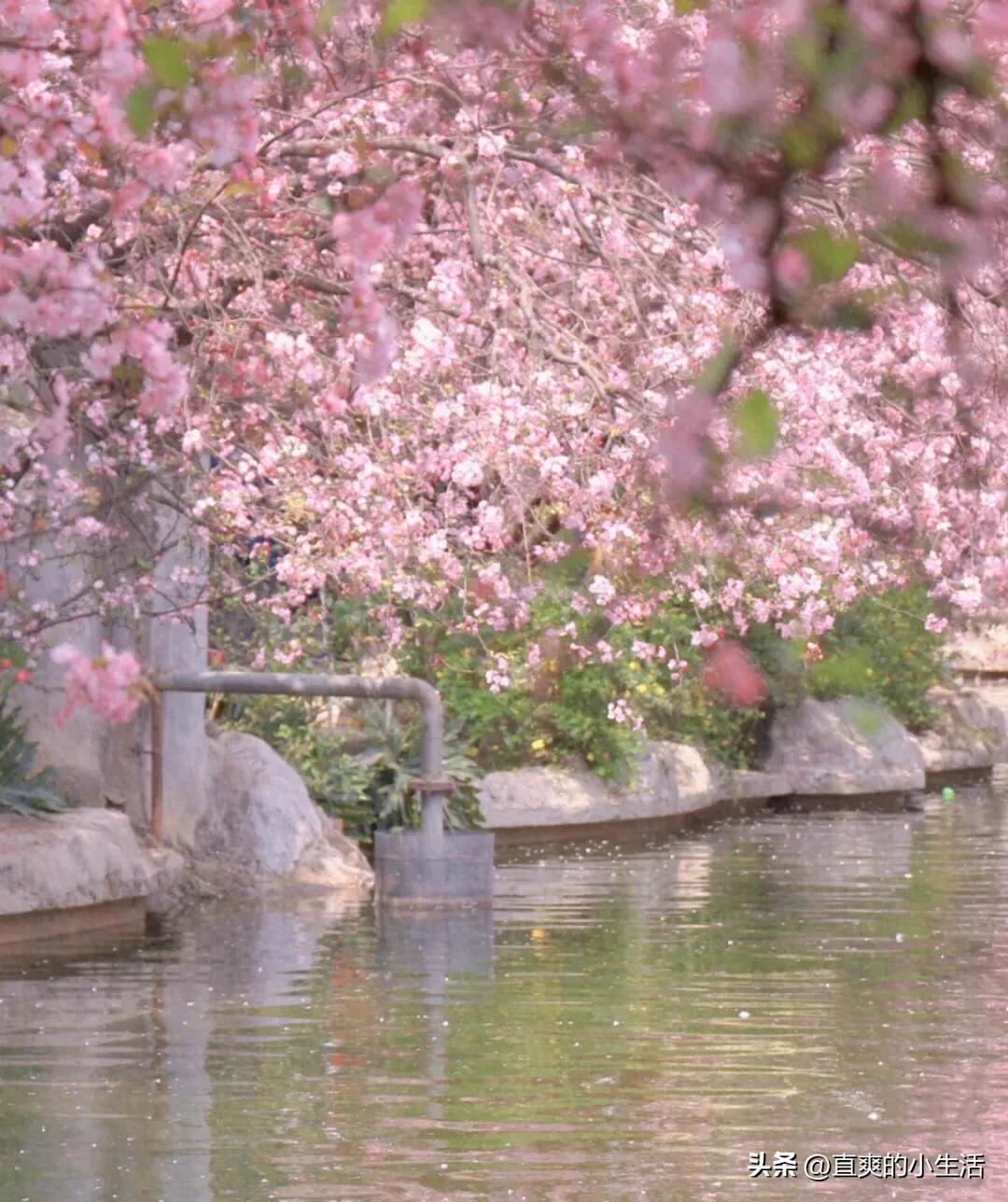 昆明作为中转站周边旅游攻略,昆明中转站的风景