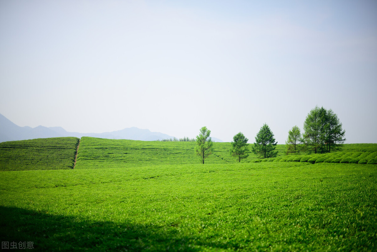 极富盛名的日本茶道源于哪里,日本茶道起源于径山
