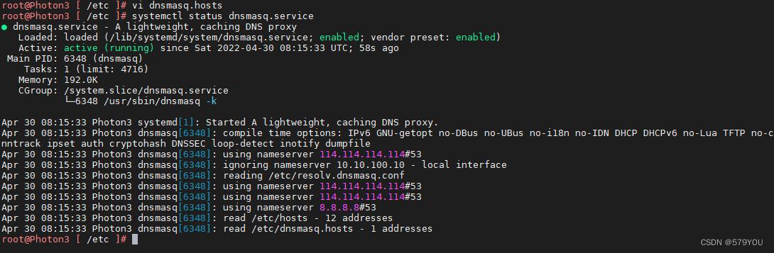 PhotonOS3搭建DNS服务器