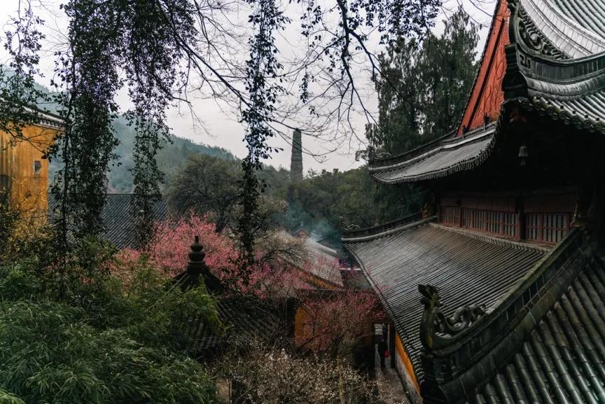 春节潮汕行腾龙28-75mmG2使用体验分享