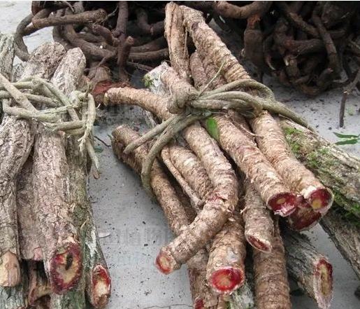 膝关节积液中药外敷膝盖疼,膝关节积液外敷药品大全