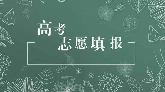 本科批次志愿填报可以报专科吗,专科高考志愿填报可以填几个学校
