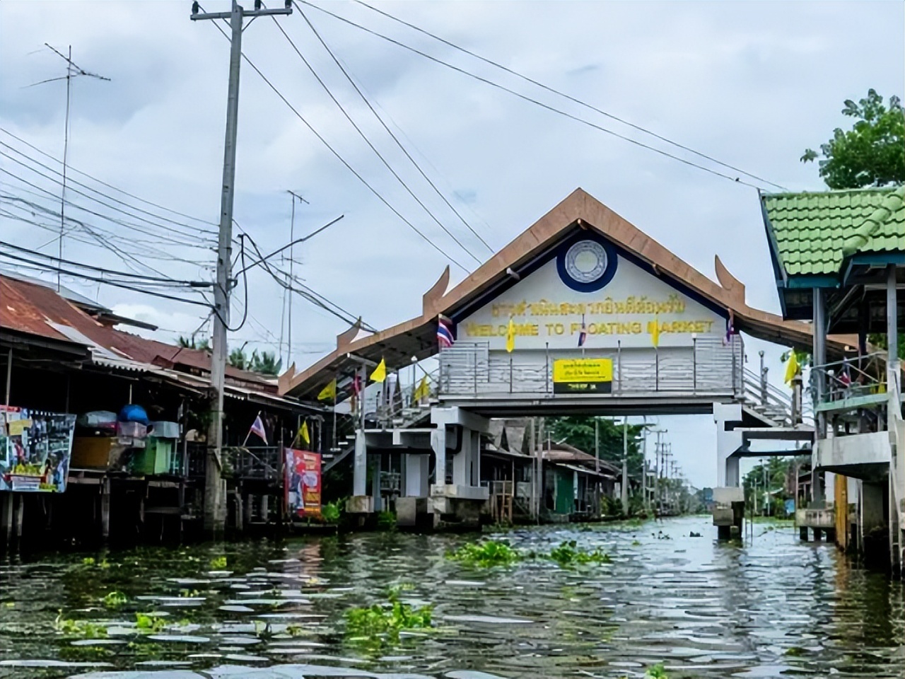 泰国水上卖船的视频,泰国水上市场卖鱼视频