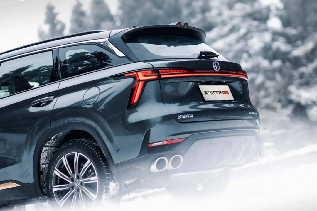 世界杯决赛中国对战巴西,世界杯决赛中国vs巴西