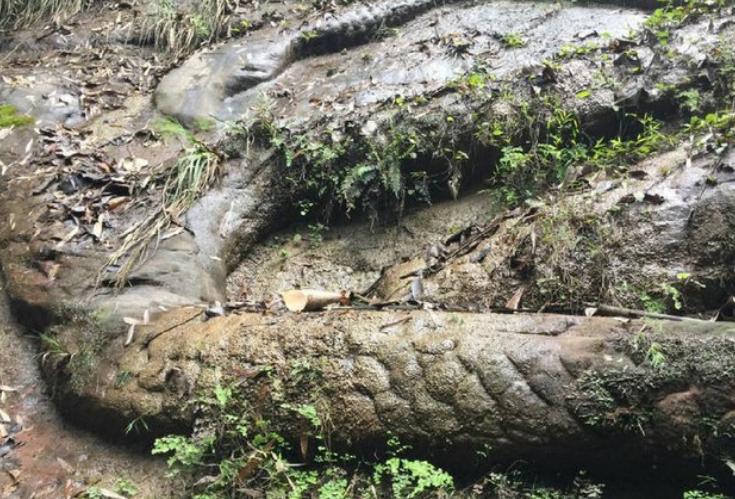 2007年高邮湖出现龙吸水奇观,高邮湖出现罕见龙吸水