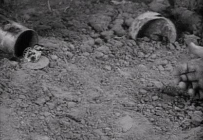 被封禁几十年的国产老片,被封禁十二年的老片