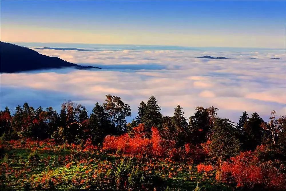 金秋吉林，“醉”美五地，承包你对秋天的所有幻想