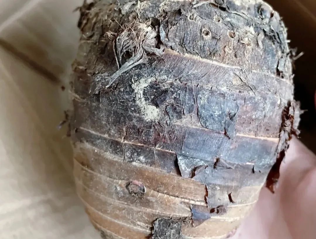 失眠多梦肝火旺吃什么药管用,肝火旺失眠吃什么食物可以降肝火