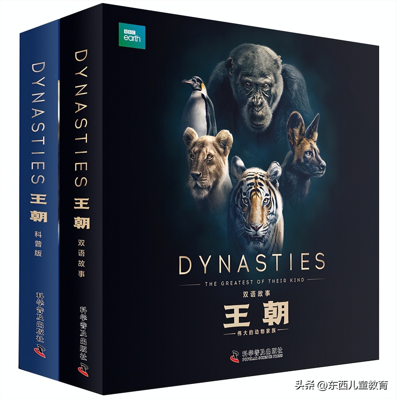 法布尔昆虫记立体书适合3-6岁儿童,法布尔昆虫记青少版必读