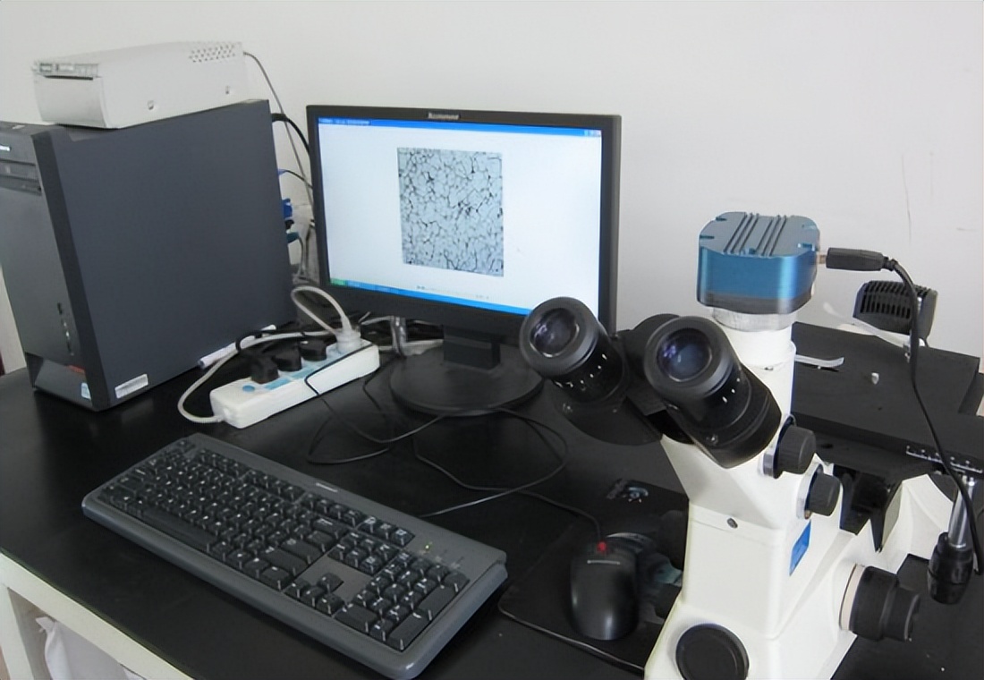 振动光谱,振动光谱的组成方法