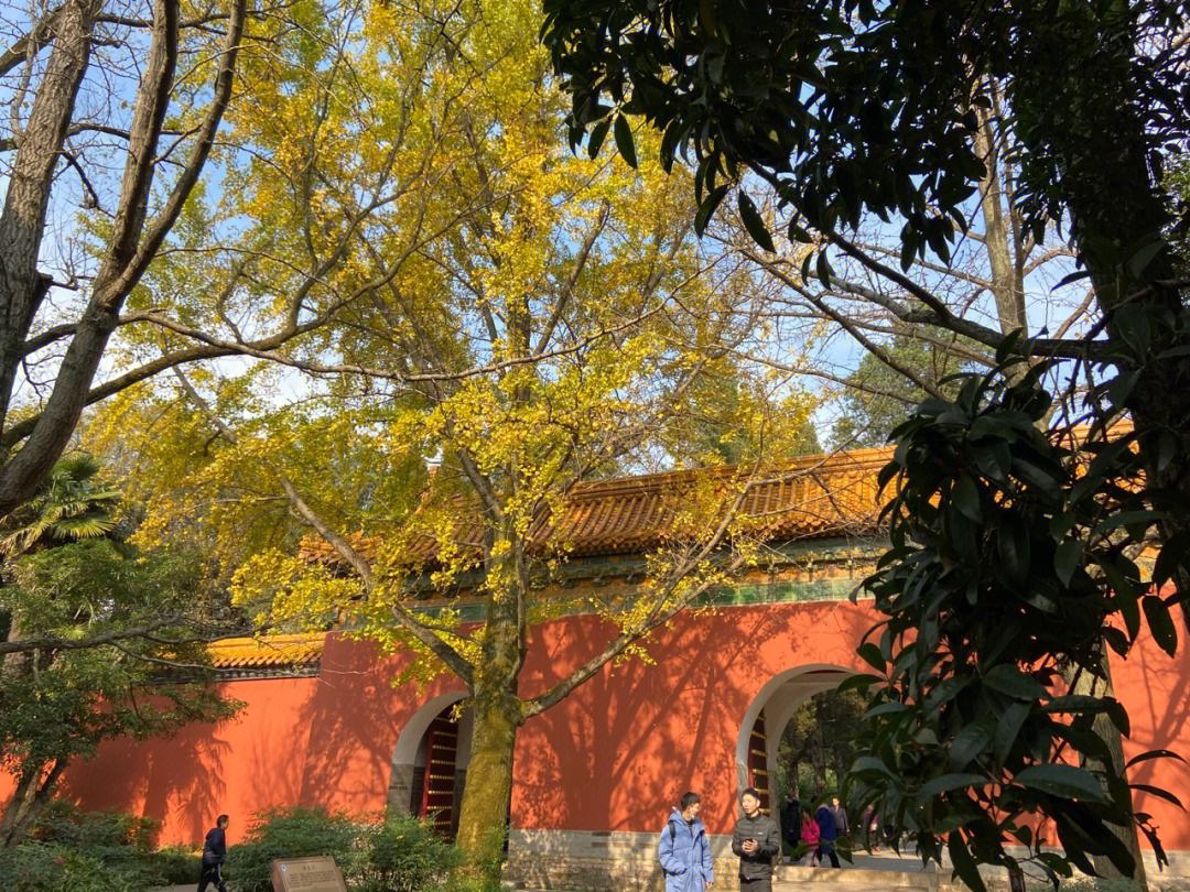 南京有哪些景点值得去看旅游攻略,南京附近200公里以内的旅游景点