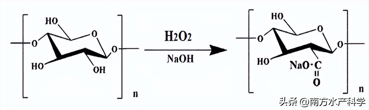 藻多糖功效,藻多糖的作用与功效